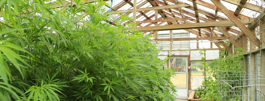 Security Solutions for Apartments in Katy, TX